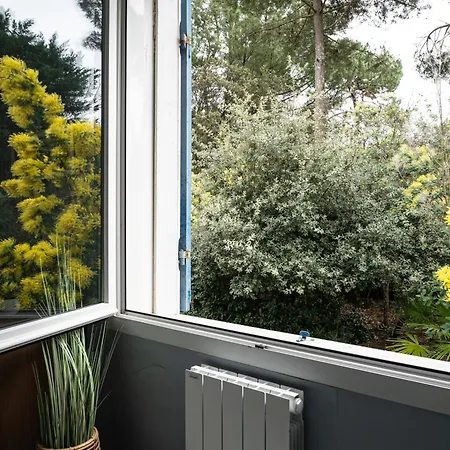 Apartament Magnifique Avec Parking A 300m De La Plage
